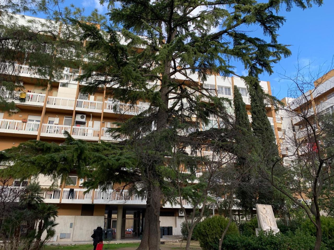 Agora B&B Urban Relais Canosa di Puglia Exterior foto